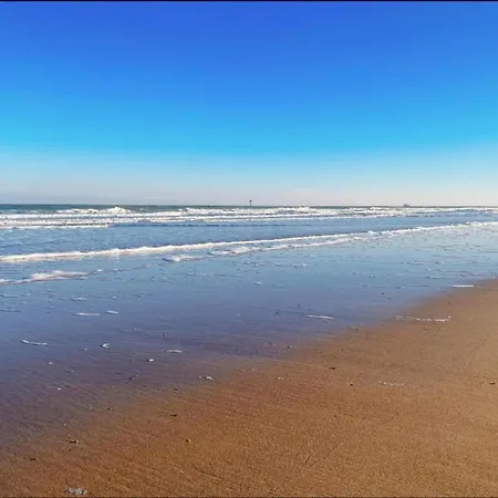Stylish Zeedijk Sea Escape 公寓 克诺克－海斯特