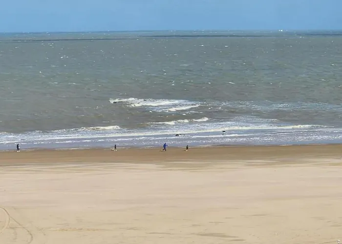 Apartament Stylish Zeedijk Sea Escape Knokke-Heist