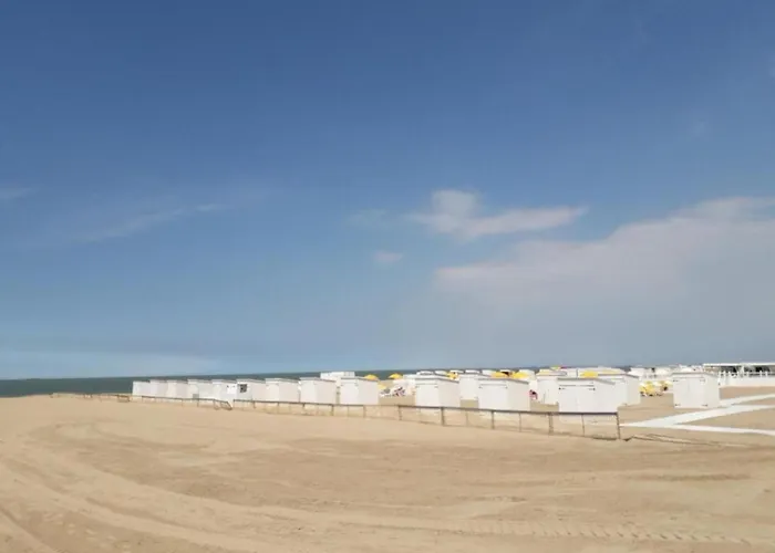 Stylish Zeedijk Sea Escape *