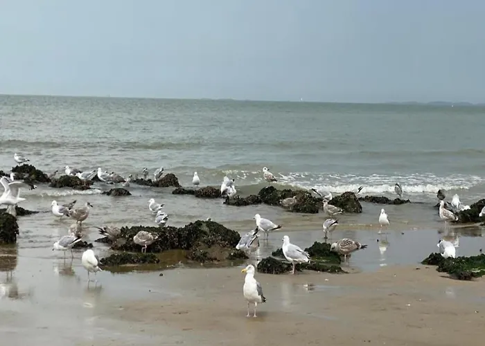 Stylish Zeedijk Sea Escape Apartment Knokke-Heist