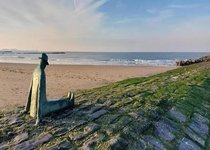 Stylish Zeedijk Sea Escape