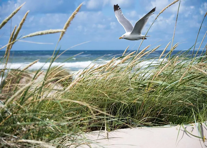 Apartament Stylish Zeedijk Sea Escape *